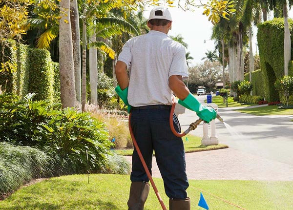 About Bayonne NJ Pest Control Pros